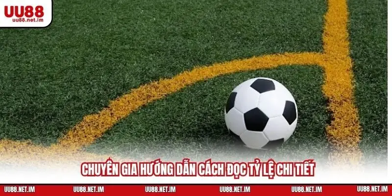 Chuyên gia hướng dẫn cách đọc tỷ lệ chi tiết